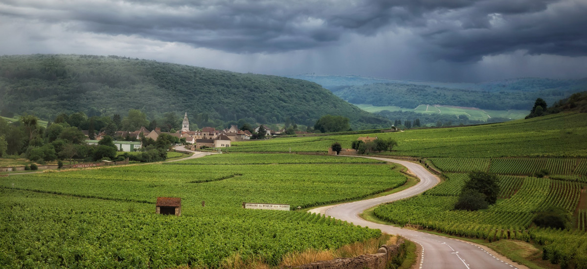 borgogna francia