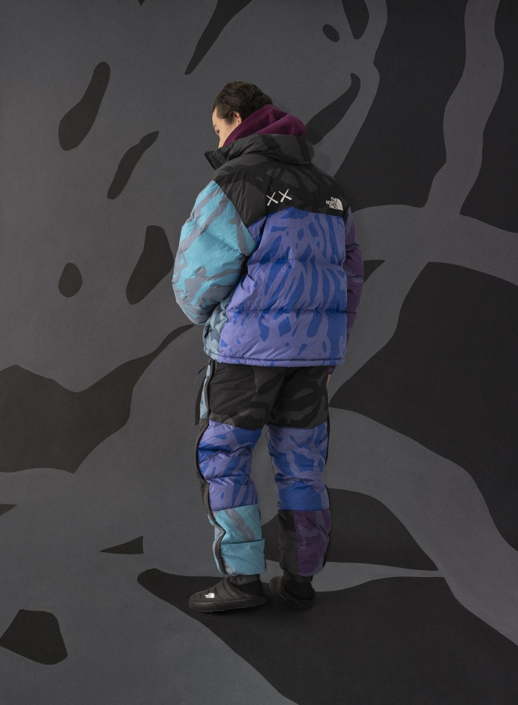 the north face kaws collaborazione foto