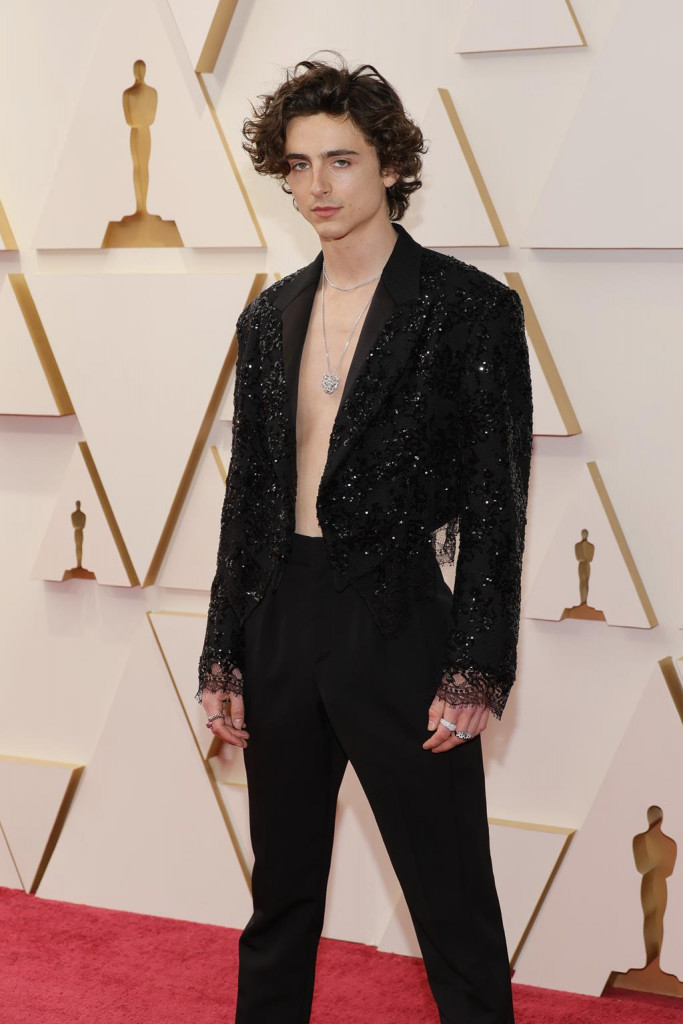 Timothee Chalamet in Louis Vuitton