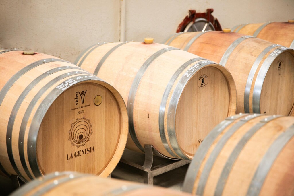 la genisia cantina vini lombardi (3)