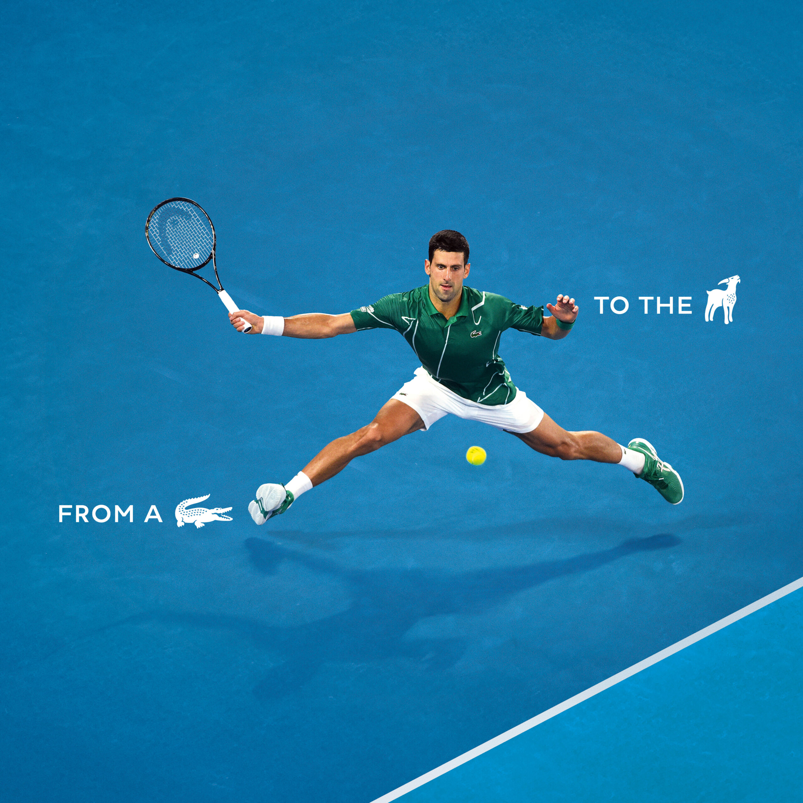 lacoste novak djokovic goat collezione (2)
