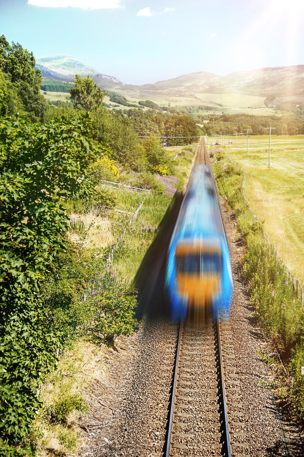 trainline viaggi con animali a bordo 