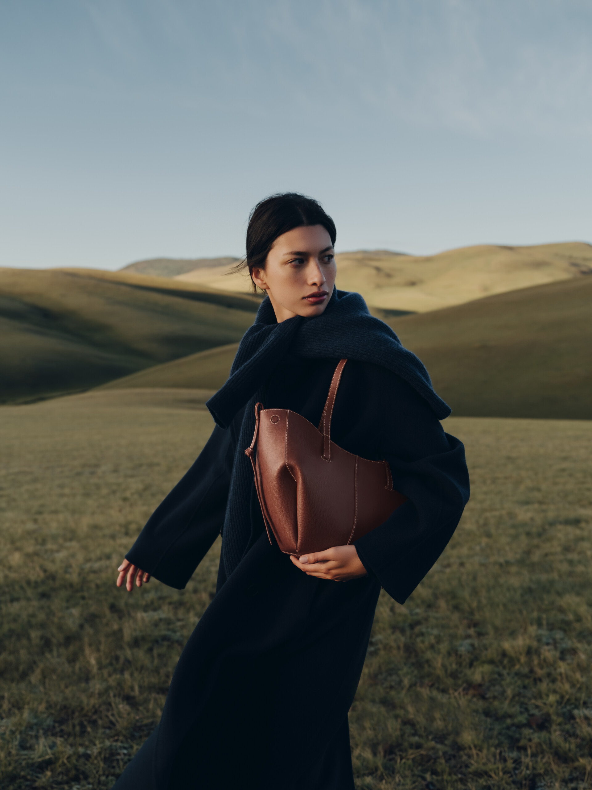 polène borse nuova collezione autunno inverno