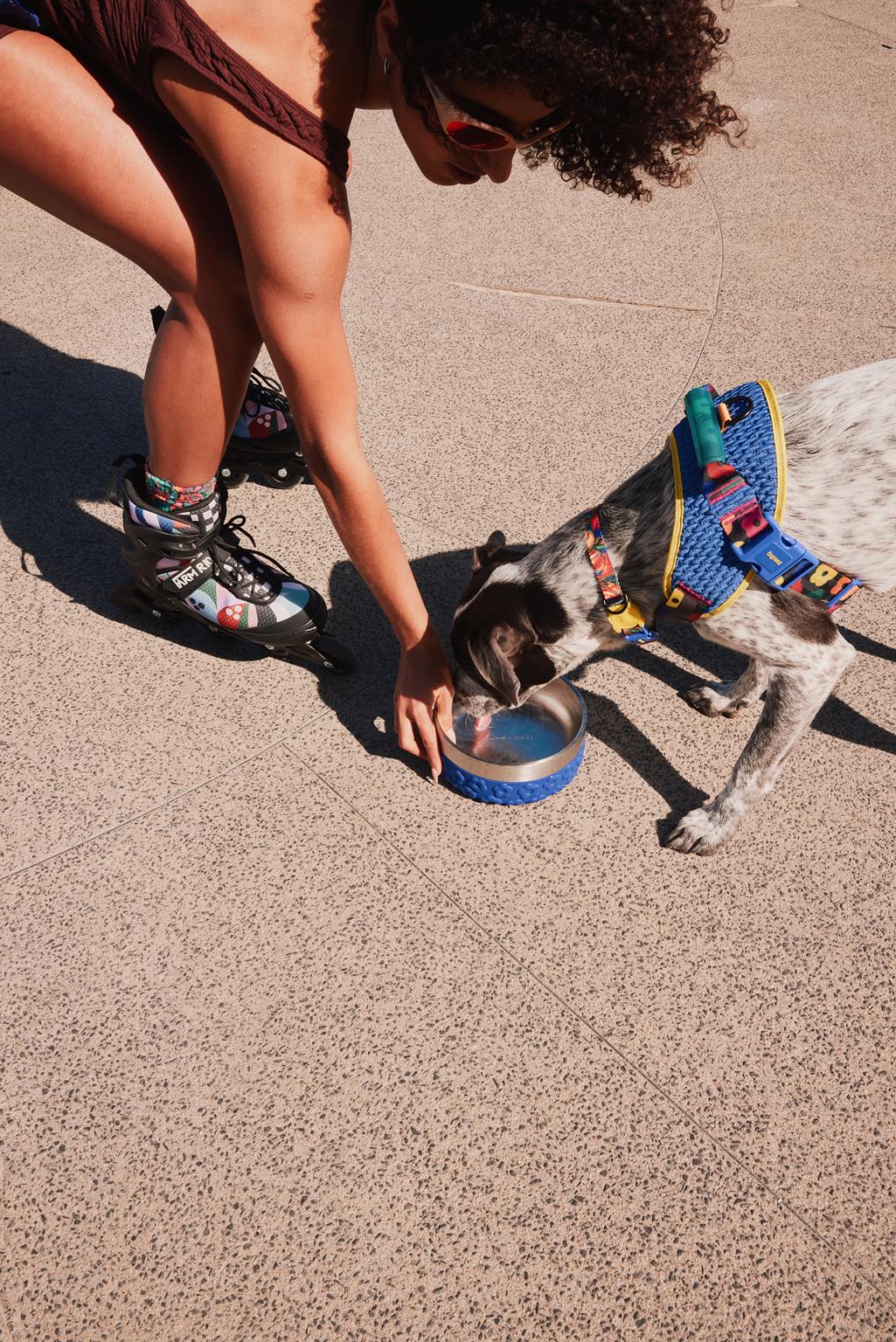 FARM Rio x Zee.Dog accessori per animali