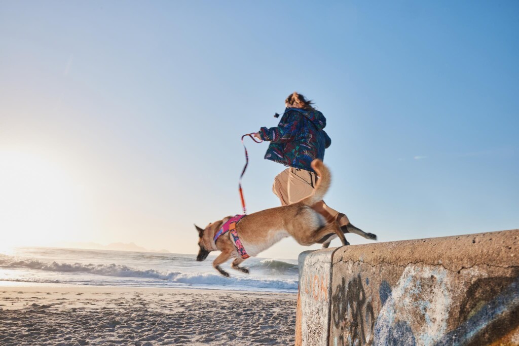 FARM Rio x Zee.Dog accessori per animali