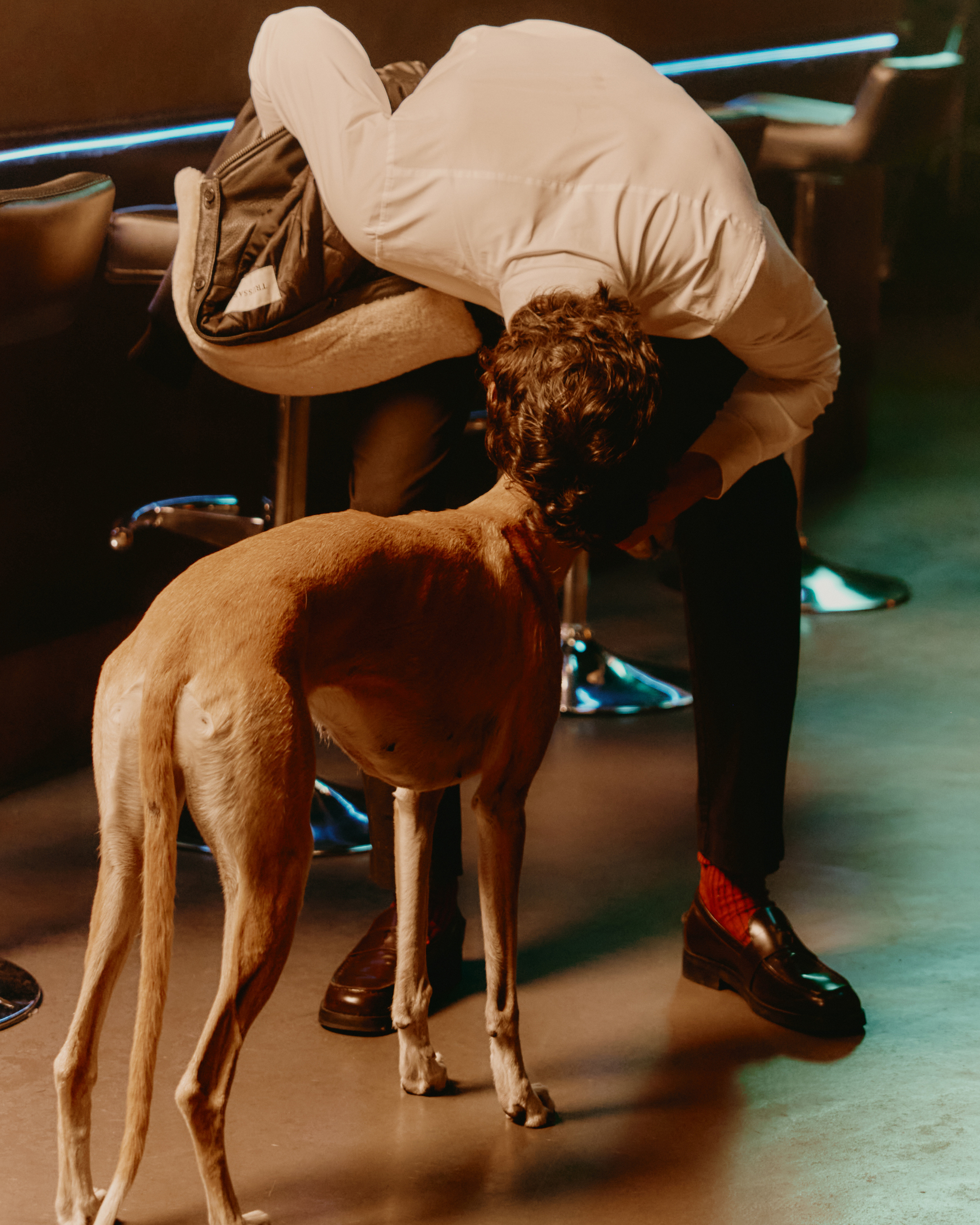 Immagine cortometraggio trussardi 2