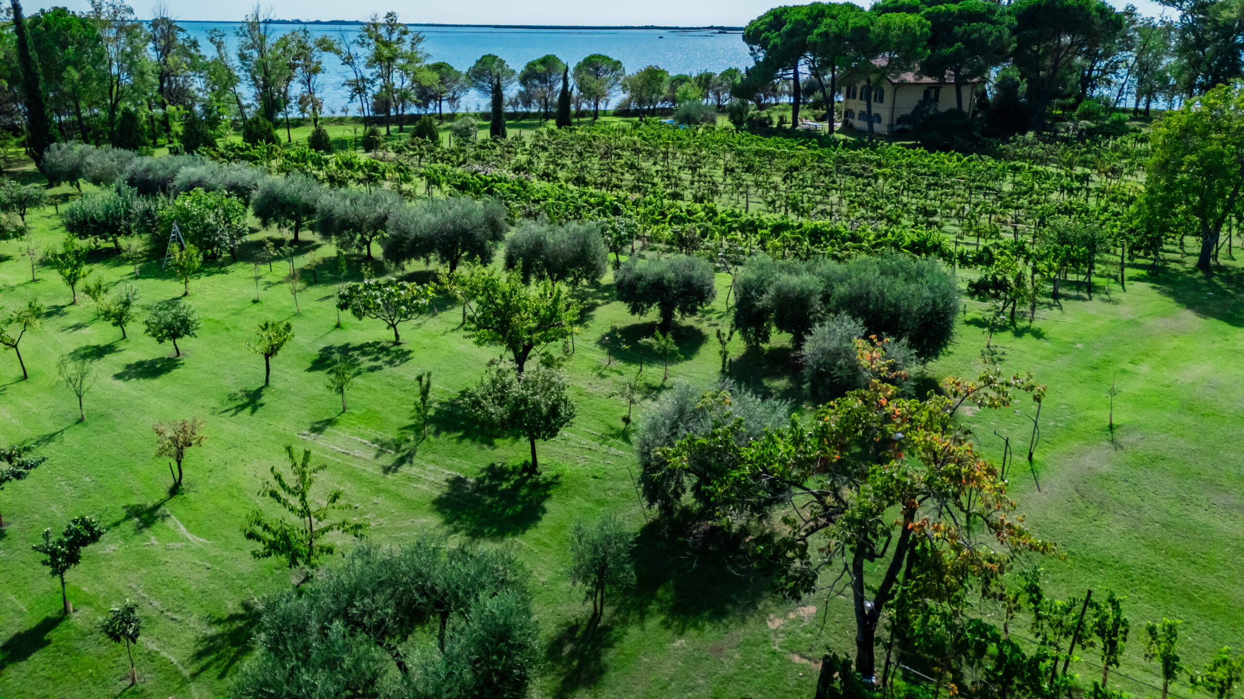 isola di montaron