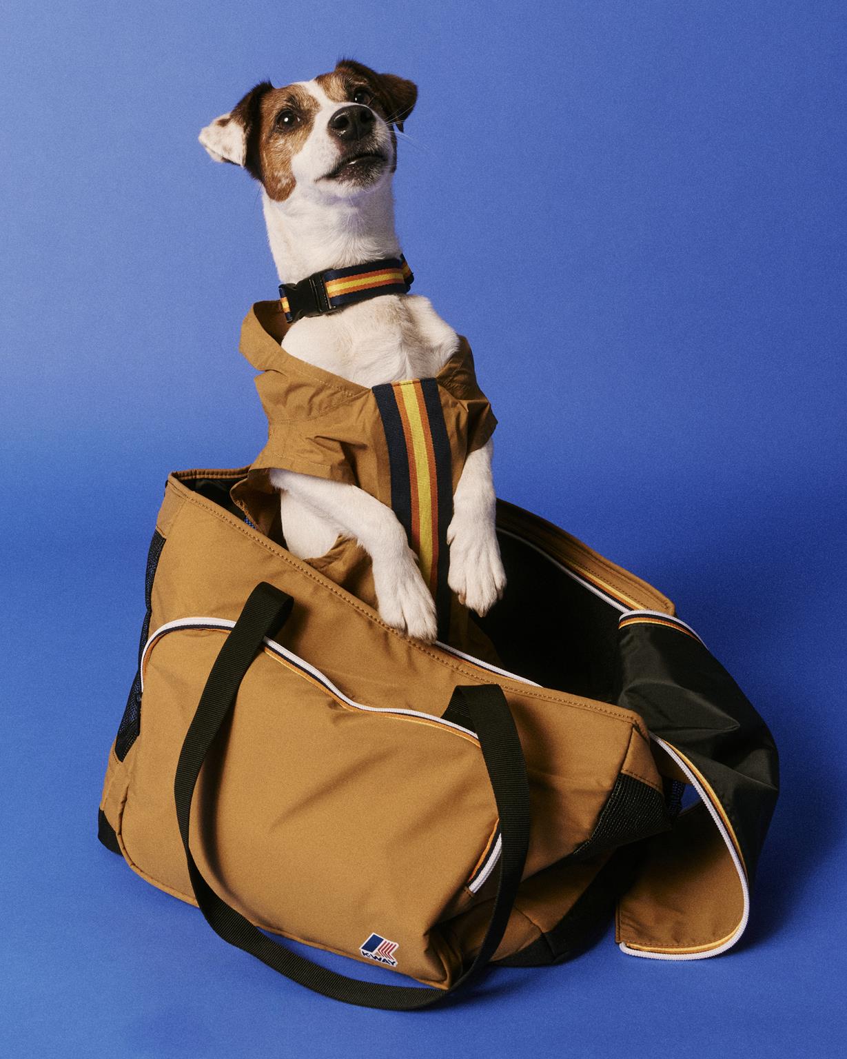 nuova collezione PETS di K-Way