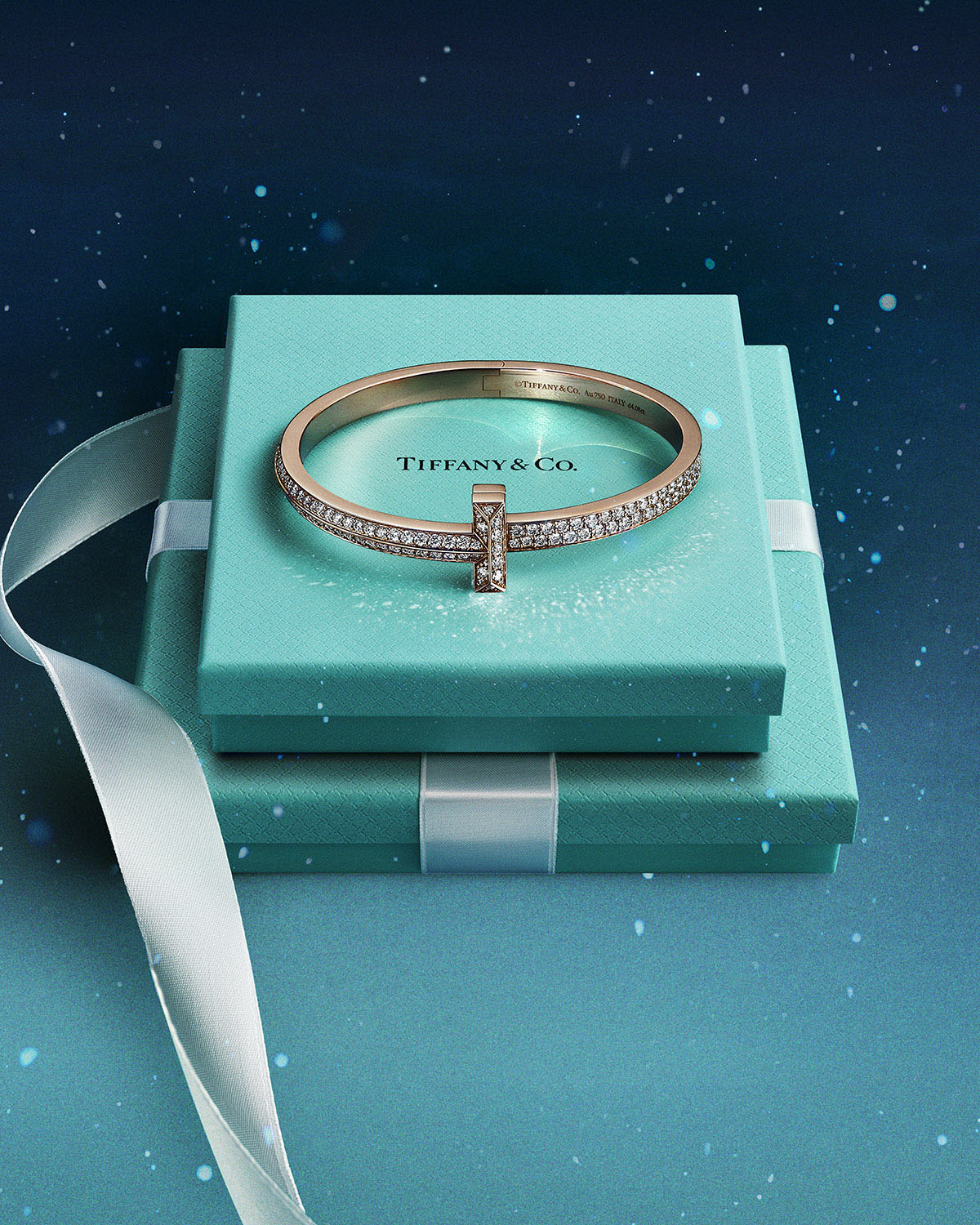 tiffany co natale ana taylor joy