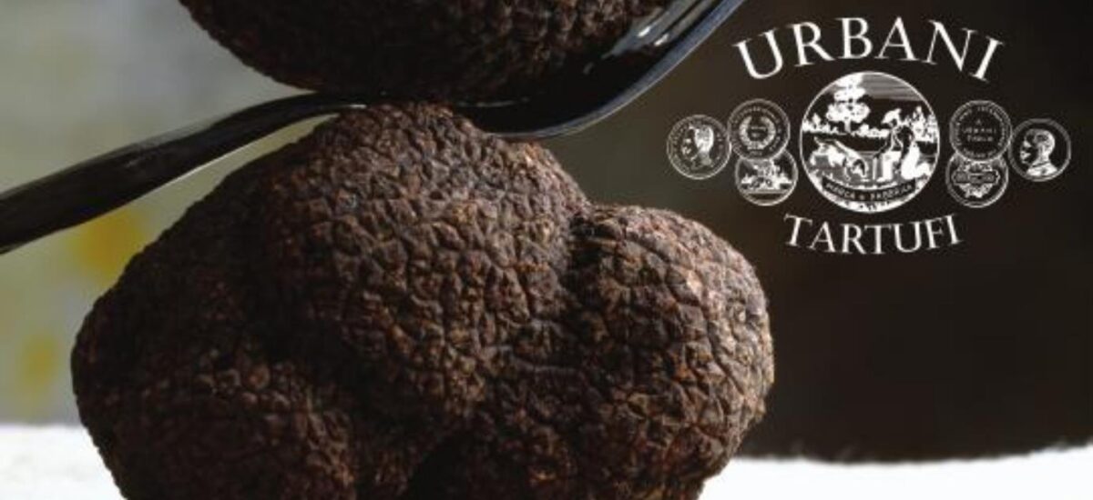 urbani tartufi riapertura nel cuore di milano in via anfossi 13