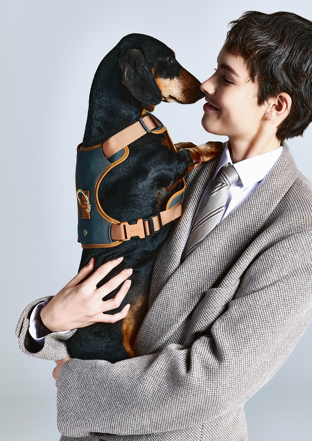 Giorgio Armani e Poldo Dog Couture ampliano la collezione dedicata ai cani