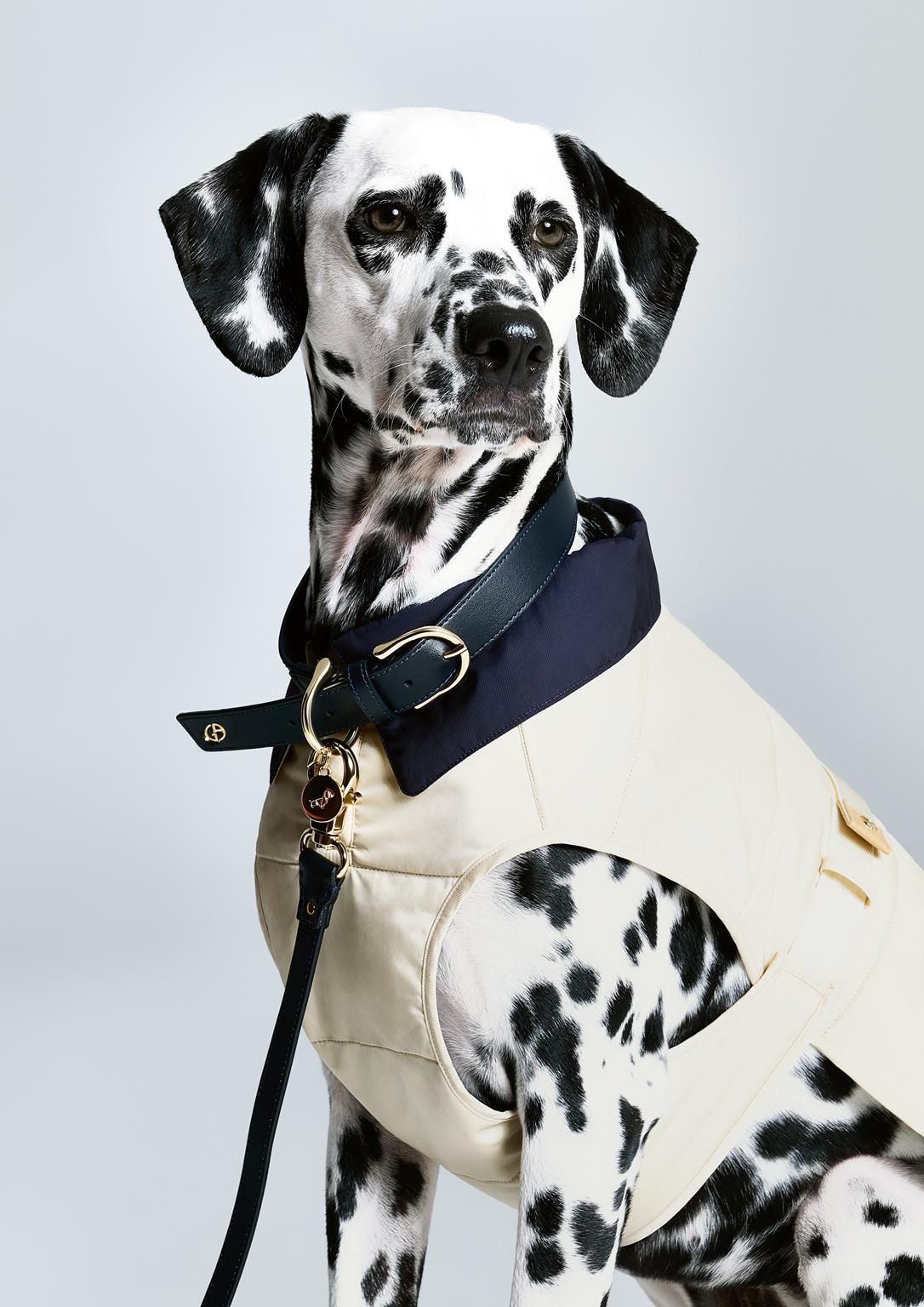 Giorgio Armani e Poldo Dog Couture ampliano la collezione dedicata ai cani