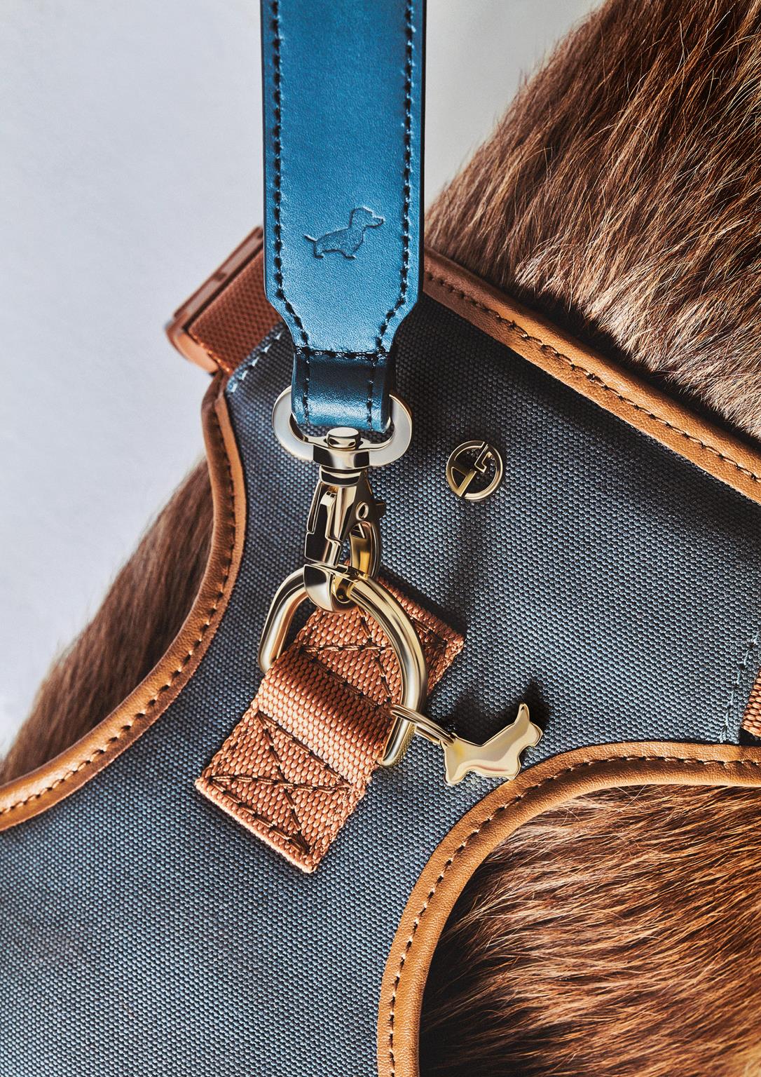 Giorgio Armani e Poldo Dog Couture ampliano la collezione dedicata ai cani