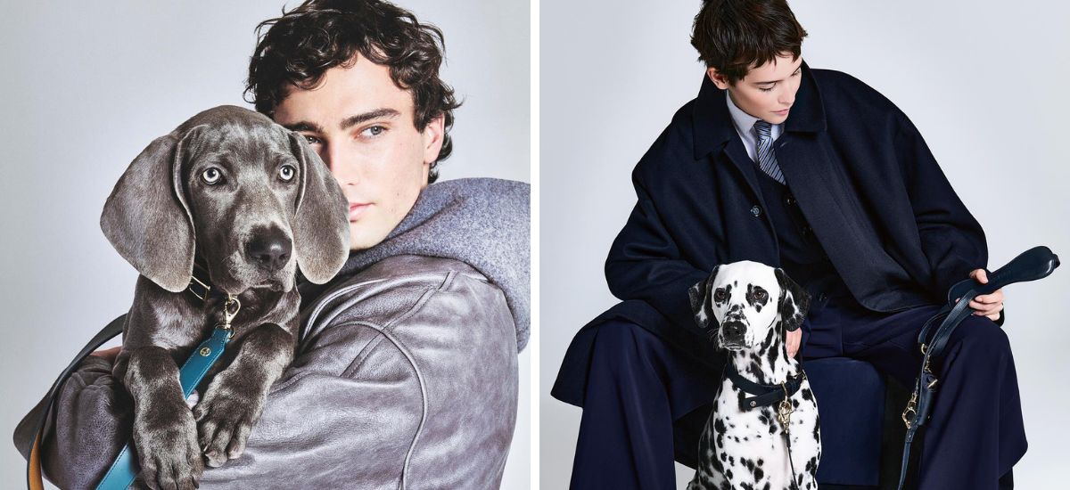 Giorgio Armani e Poldo Dog Couture ampliano la collezione dedicata ai cani