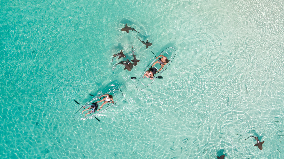 Bahamas
