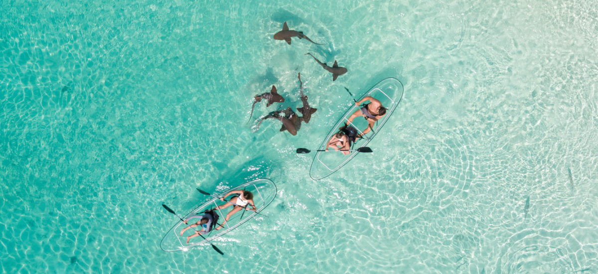 bahamas