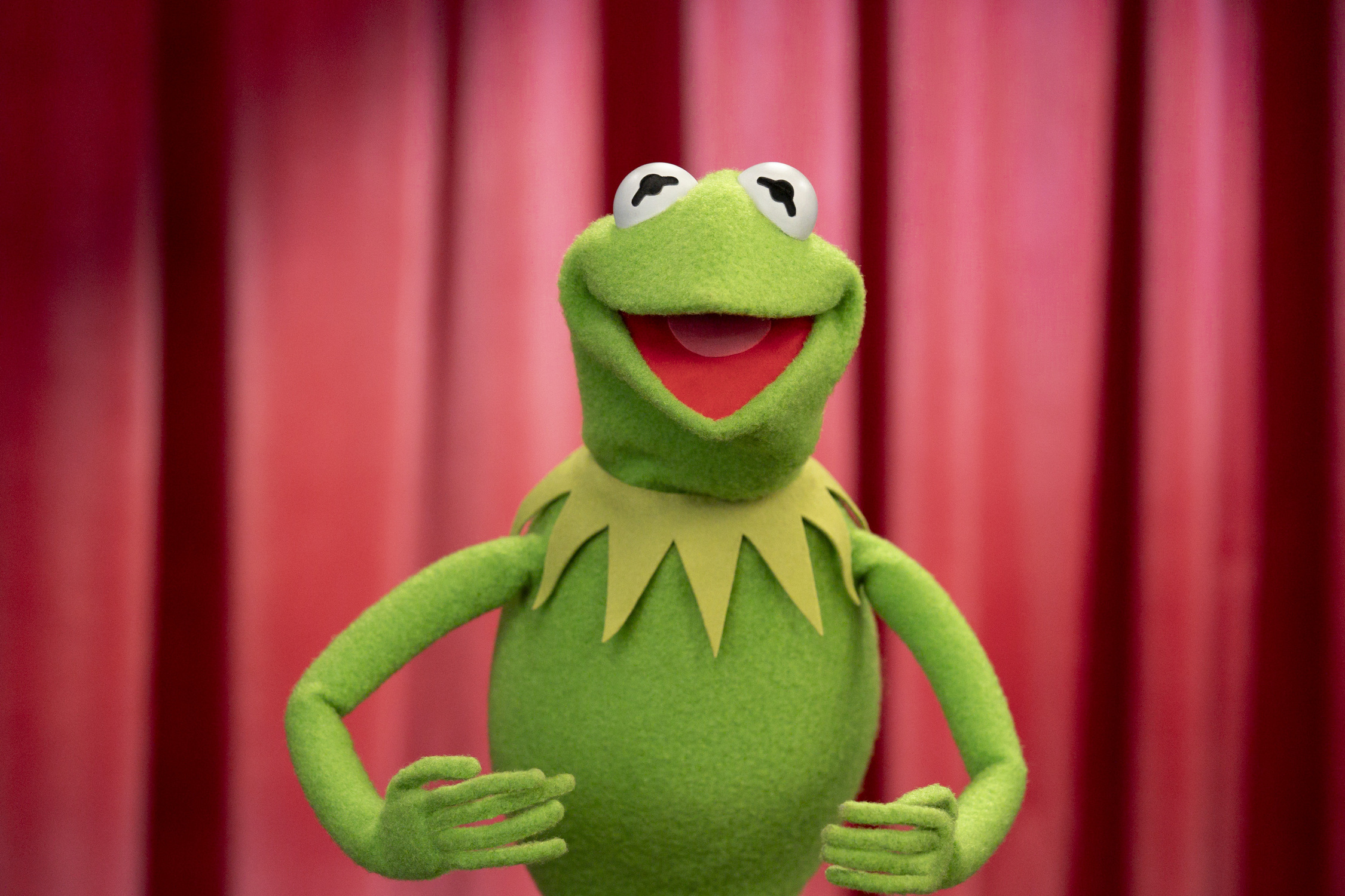 THE MUPPETS SHOW SPECIAL - (Disney/Mitch Haaseth)KERMIT