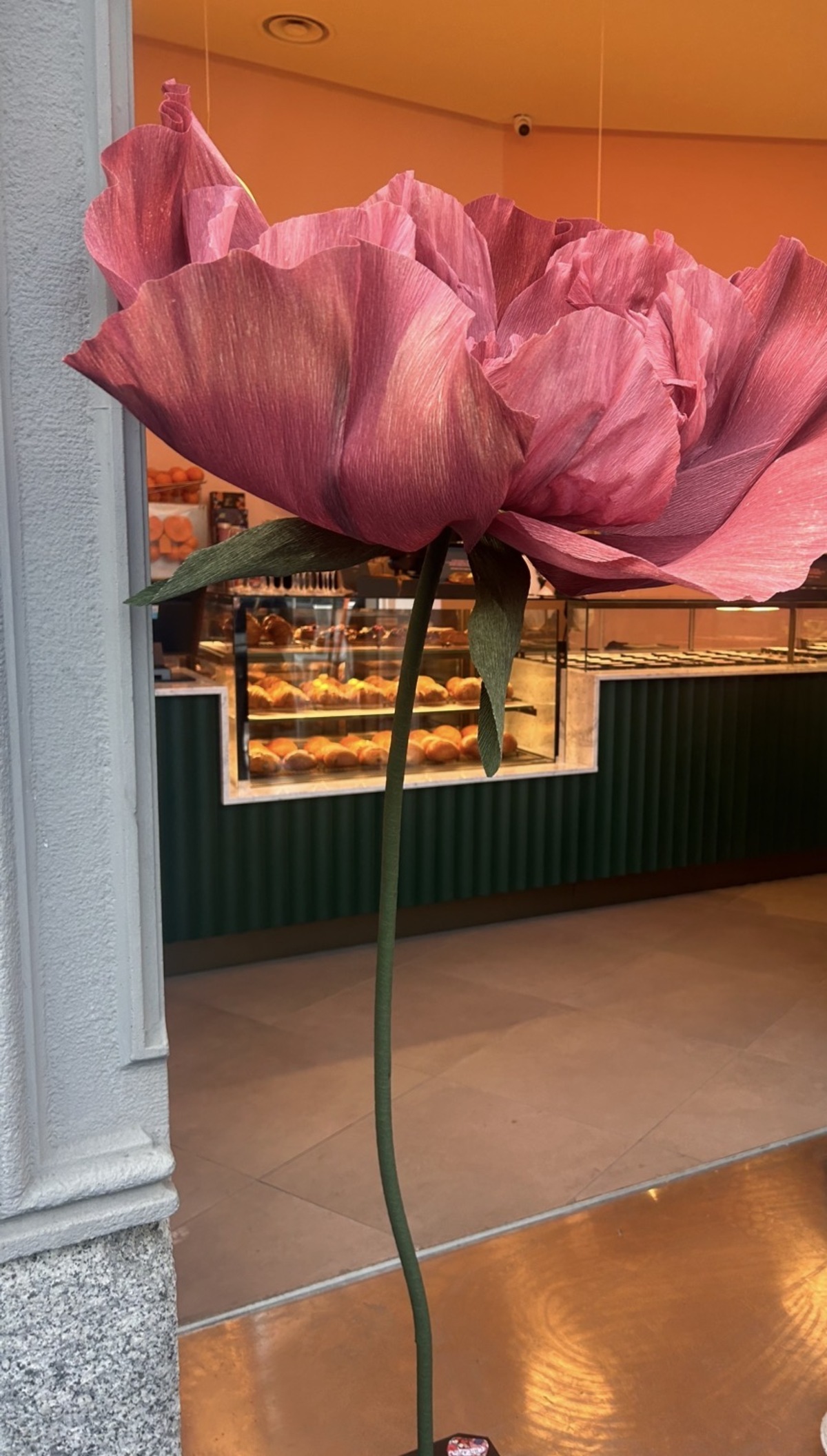 sfoglia pastrybar