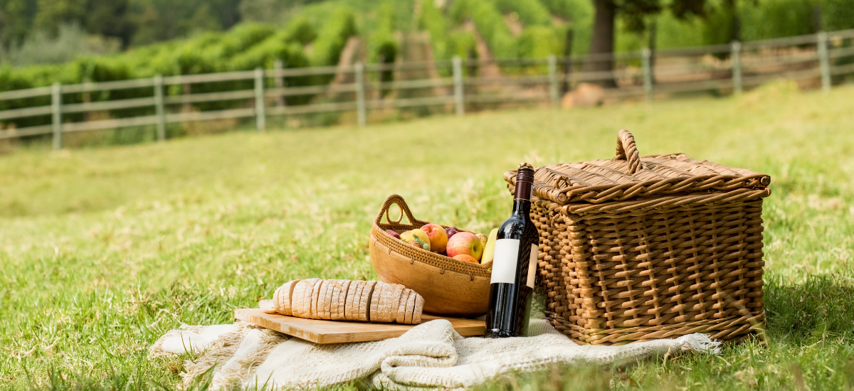 vini open air picnic