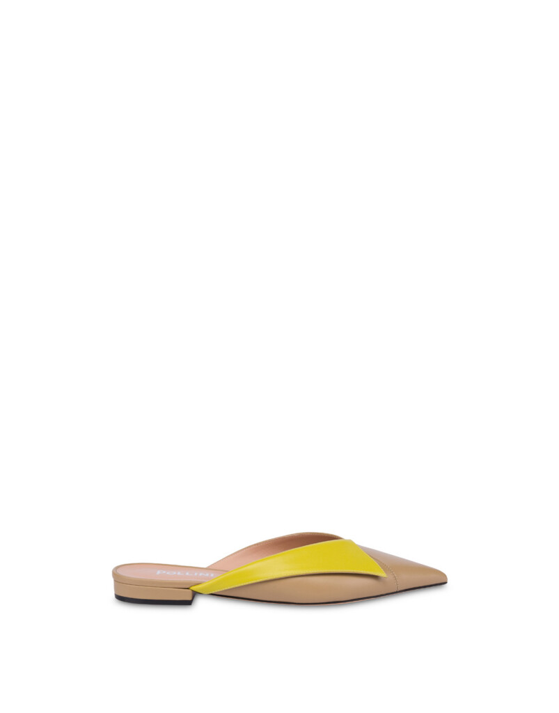 Pollini