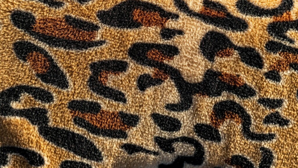 sneakers leopardate
