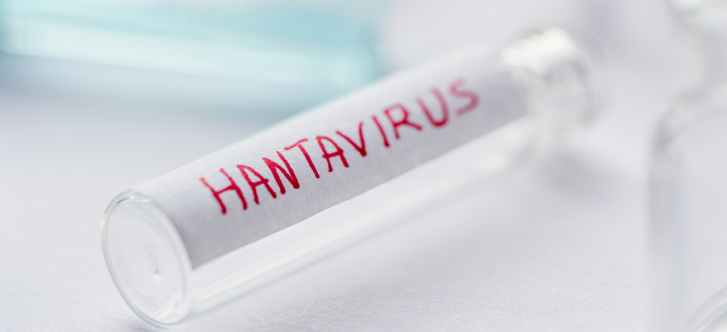 contagi Hantavirus