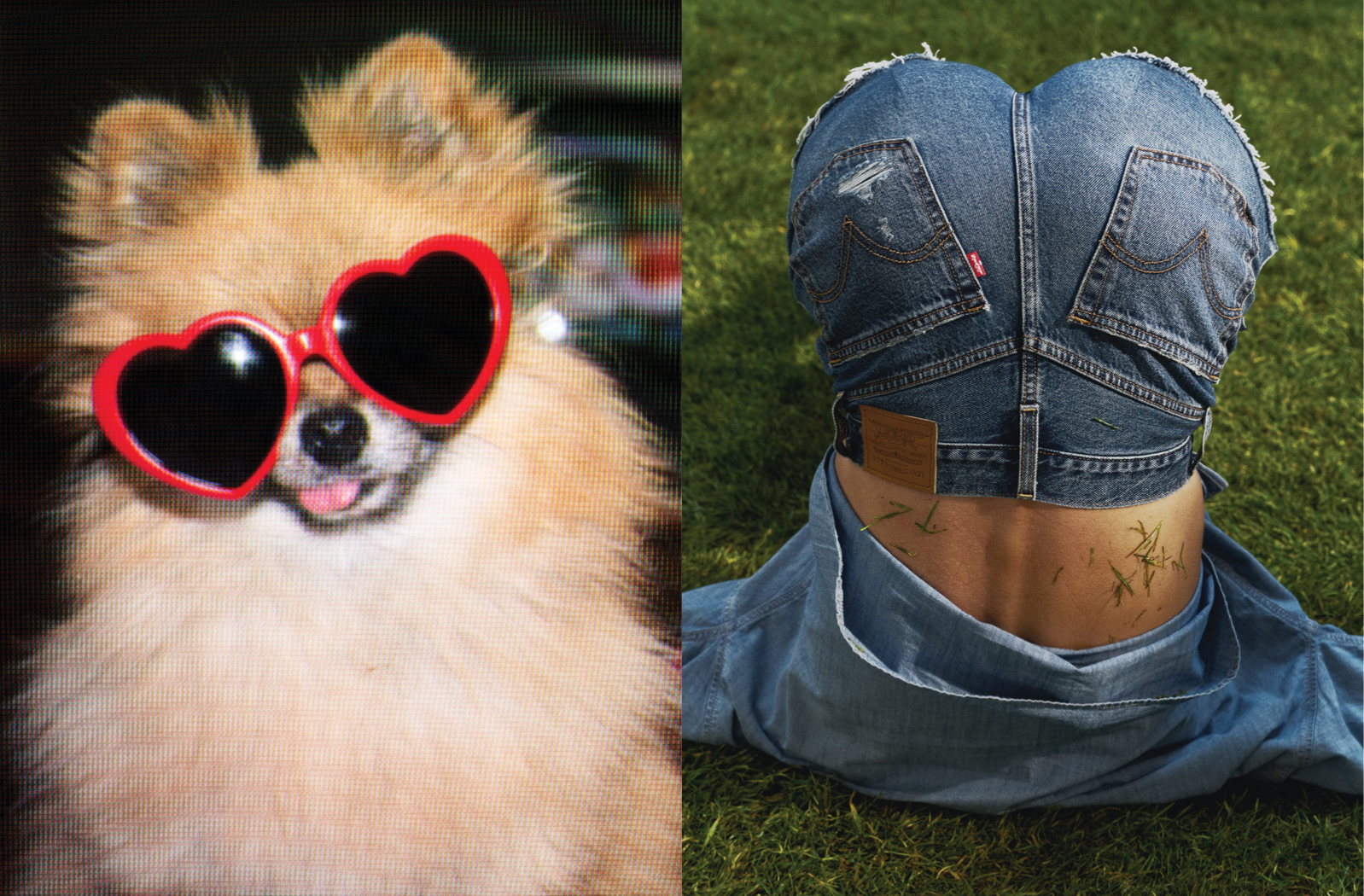 nuova campagna pubblicitaria levi's per lancio shorts denim donna (5)