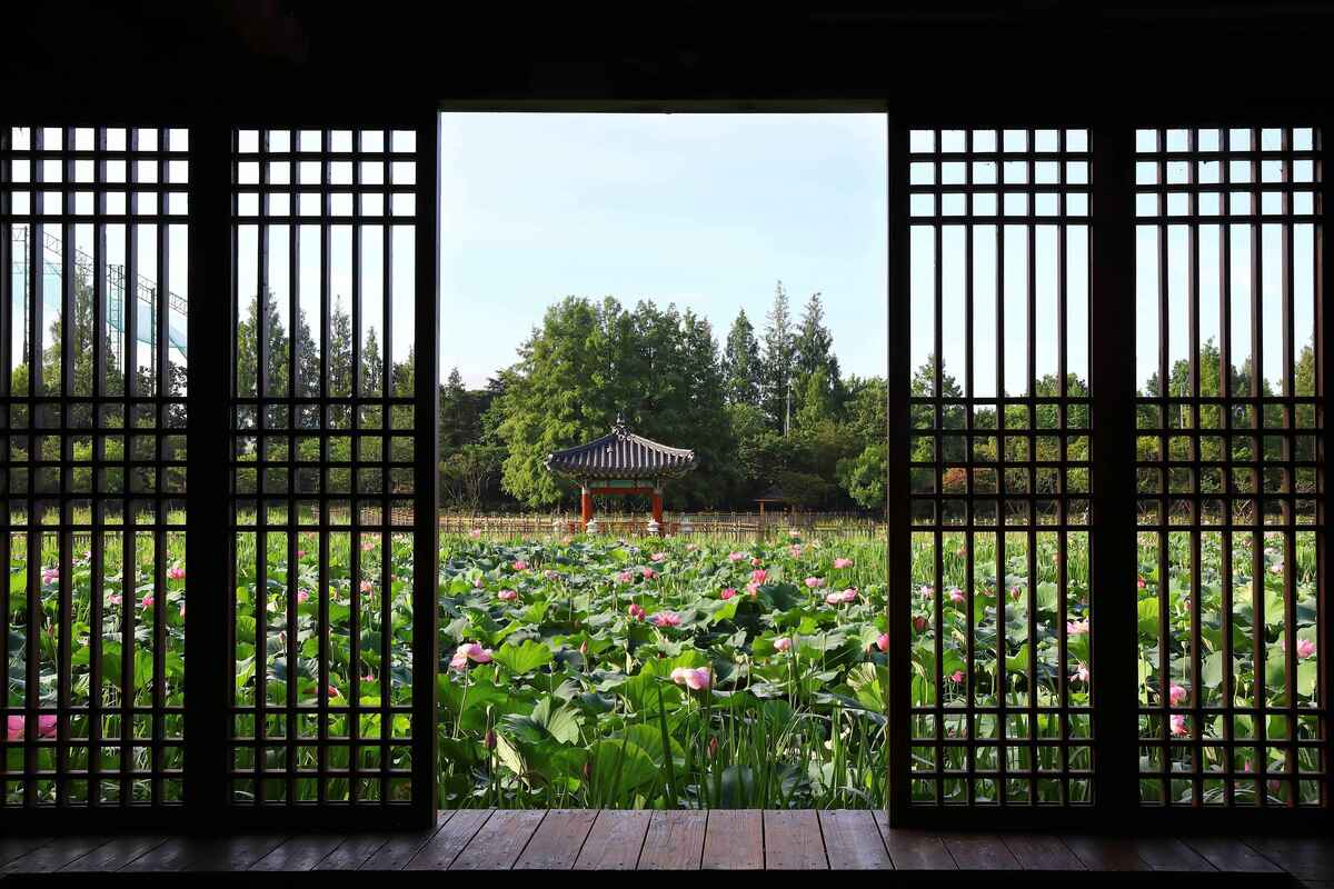 Beauty of Korea 