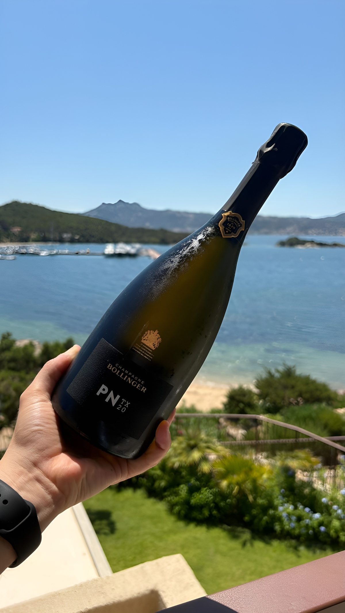 Bollinger 7Pines