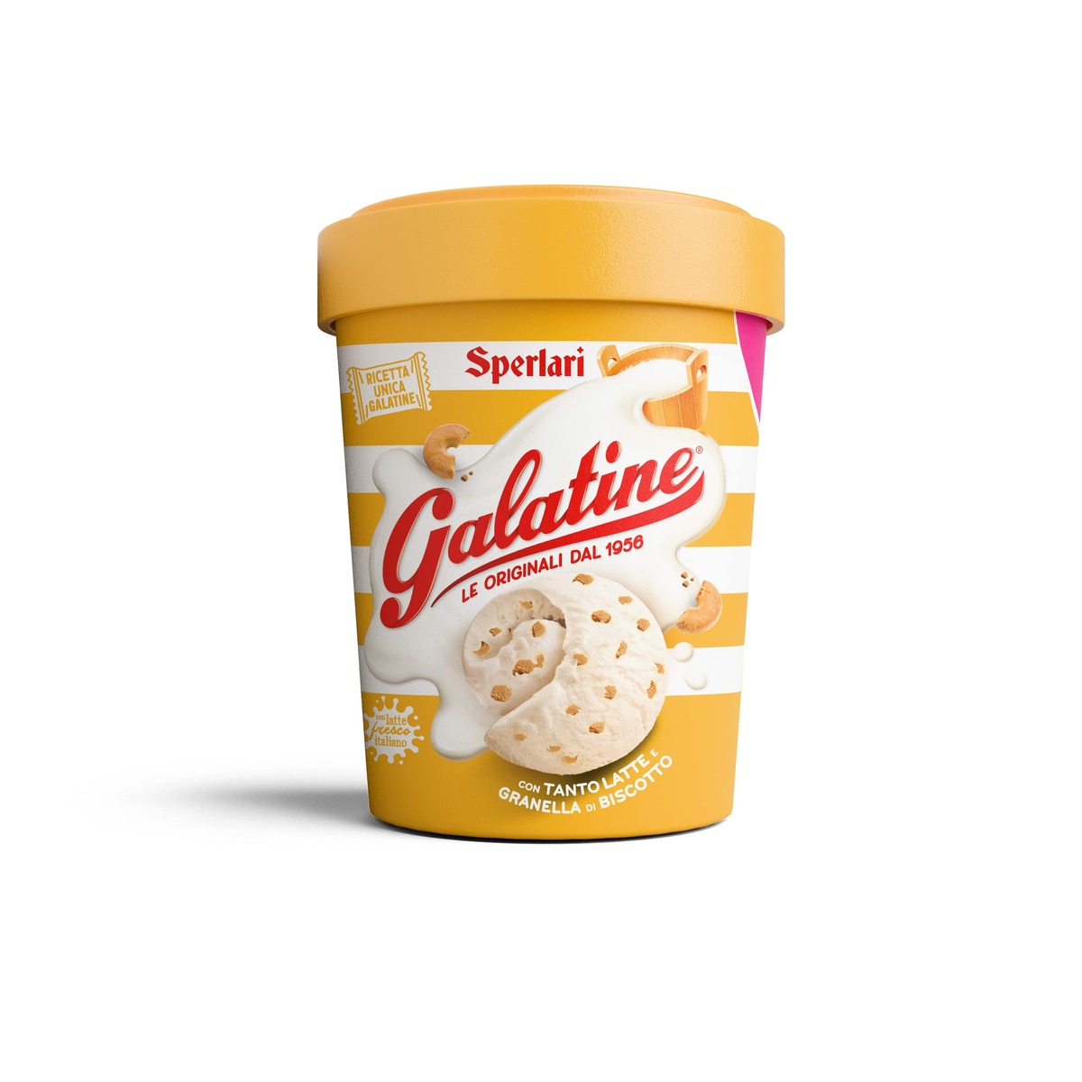 Gelato Galatine Biscotto tonitto