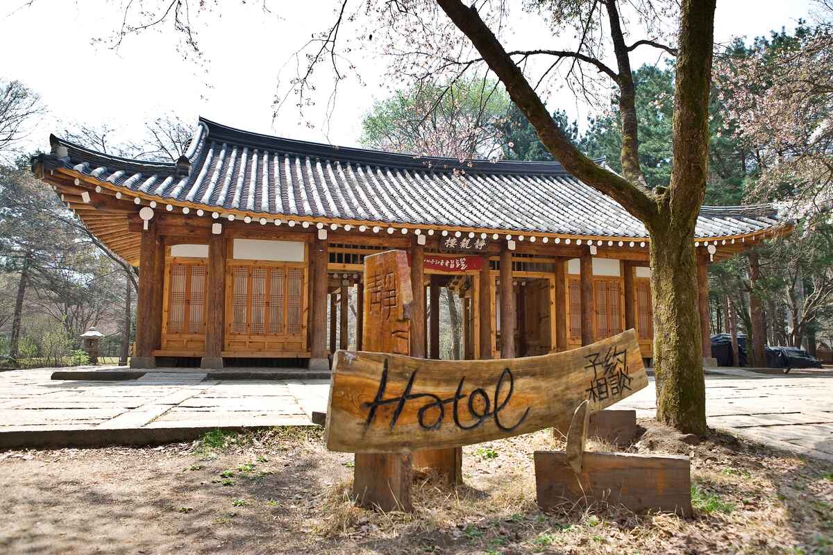 dormire tempio corea del sud Nami Island