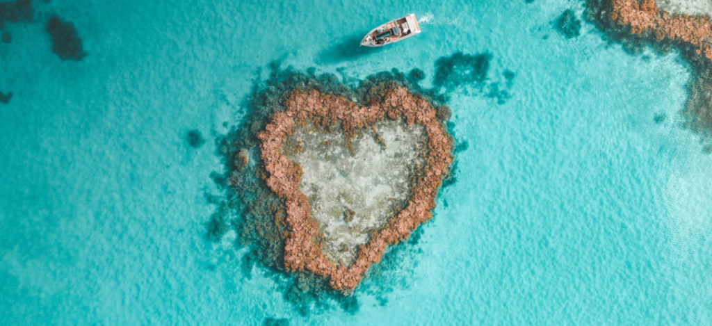 oceani-ambiente-salvare