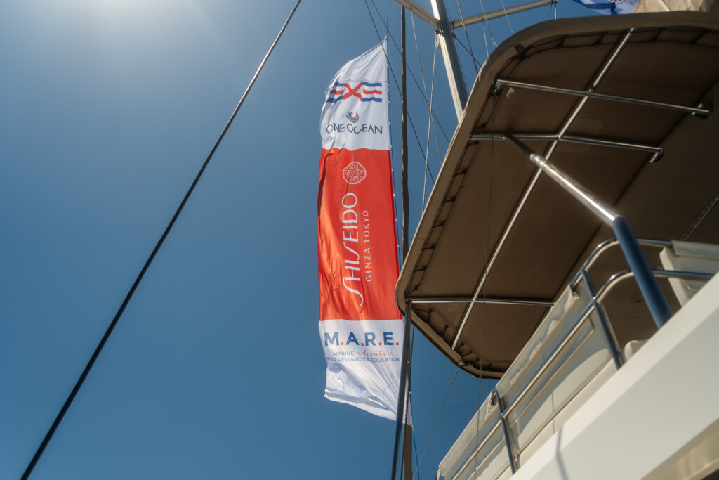 Shiseido e il mare due progetti concreti per proteggere gli oceani