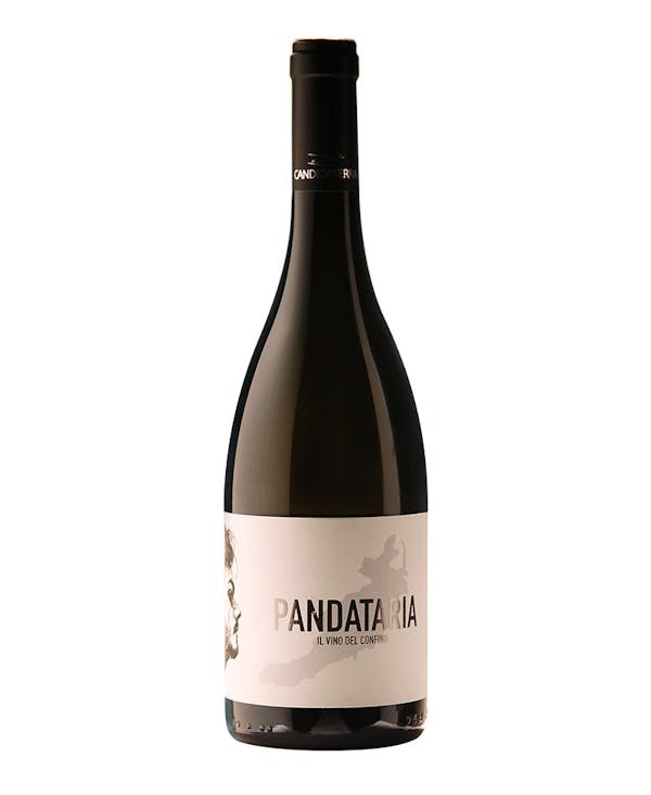 CANDIDATERRA-PANDATARIA-Vino del Confino