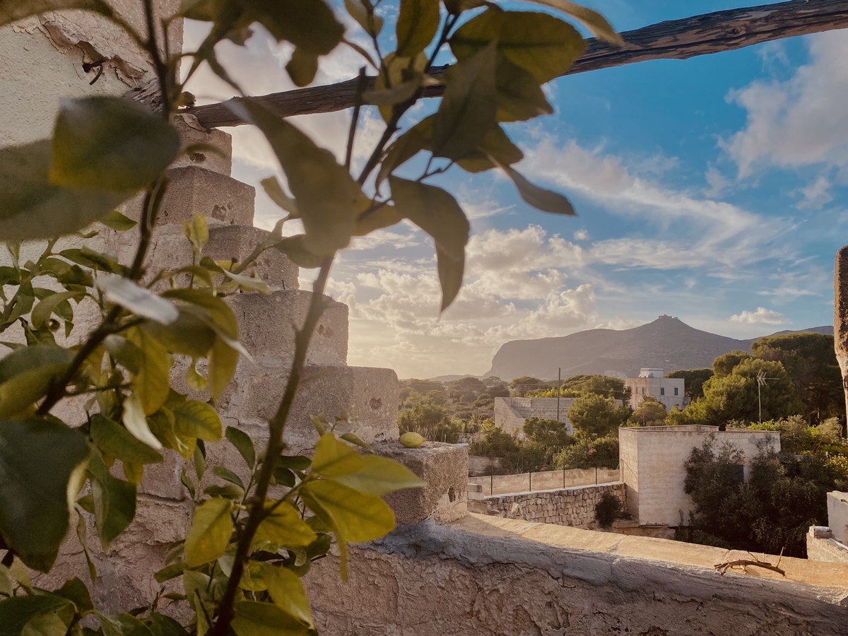 Favignana_The Odyssey_airbnb