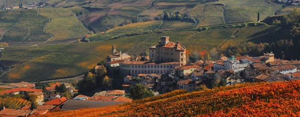 Il Castello Falletti