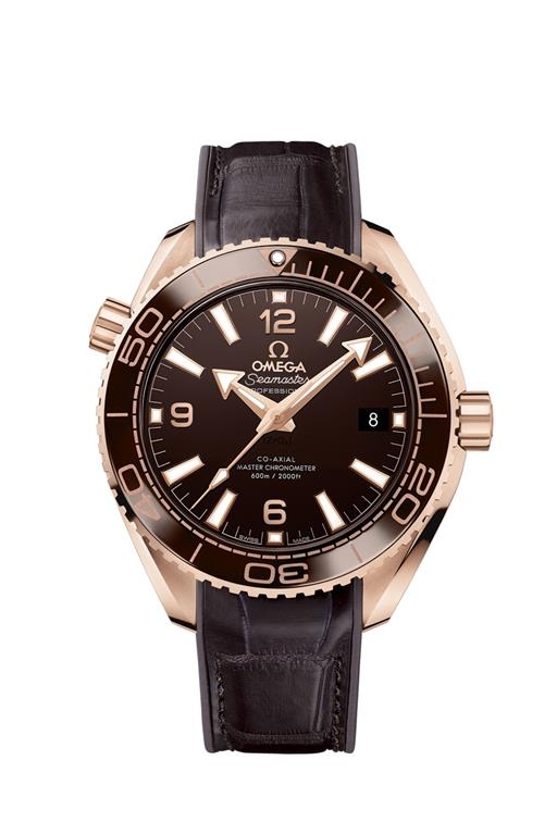 Omega Planet Ocean 600M Master Chronometer