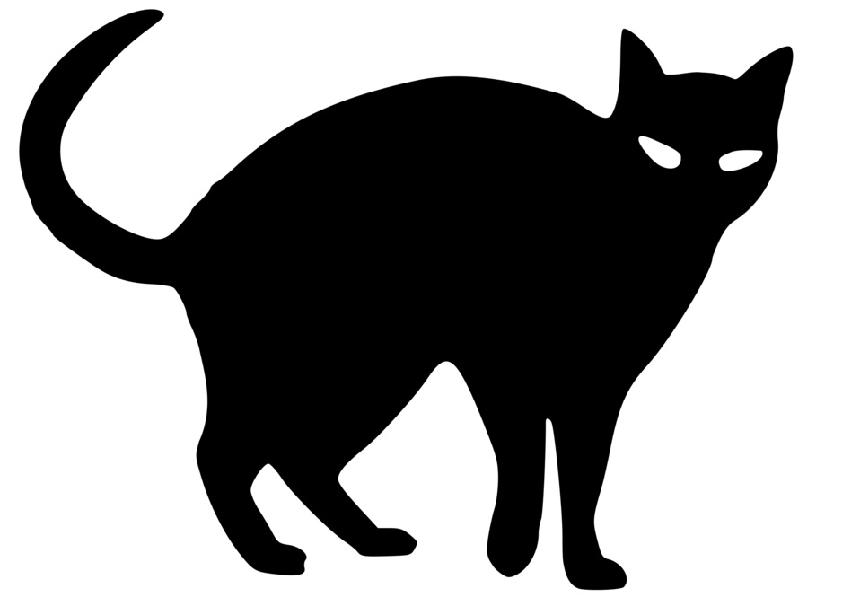 Gatto nero
