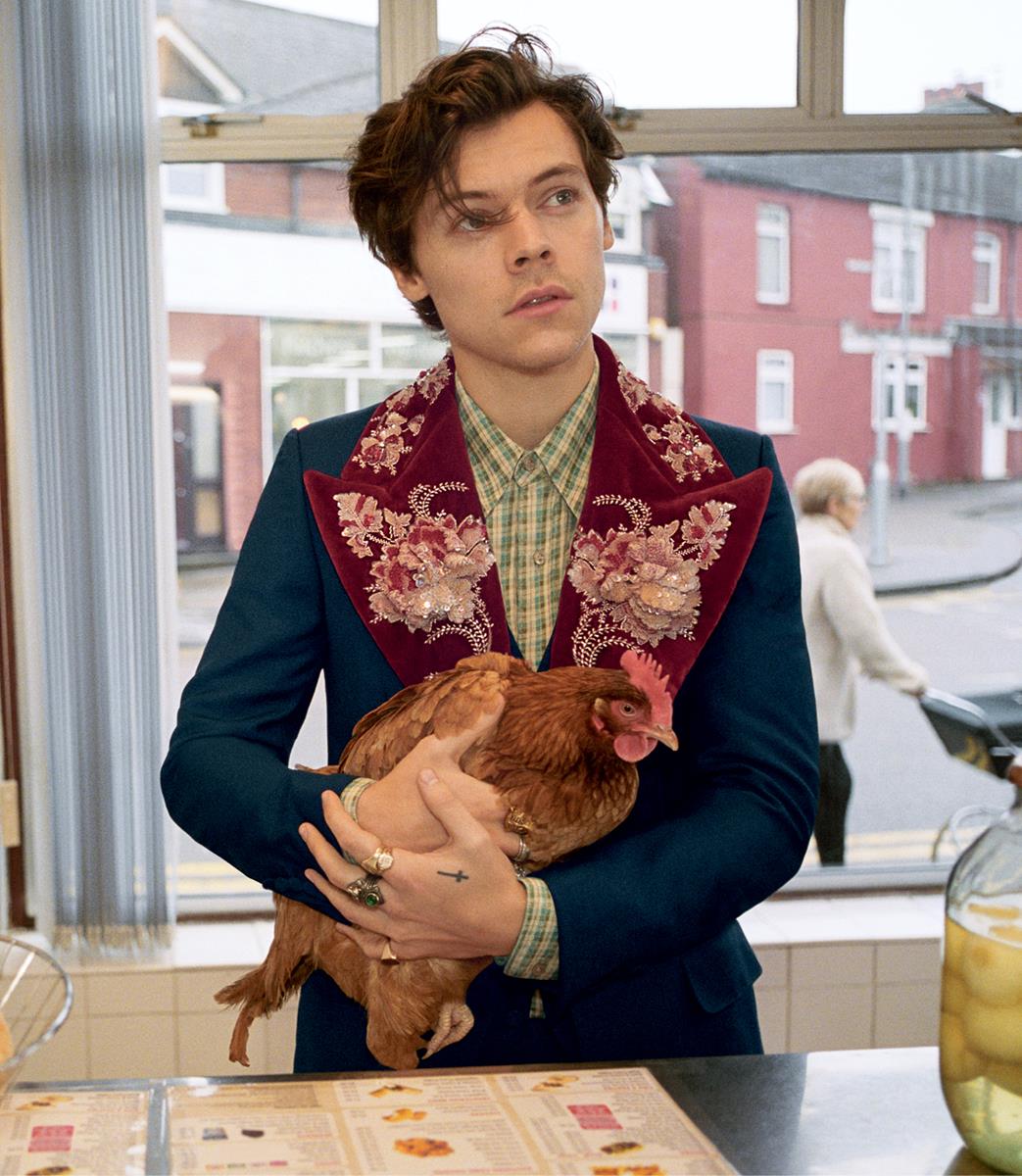 Harry Styles Gucci Tailoring