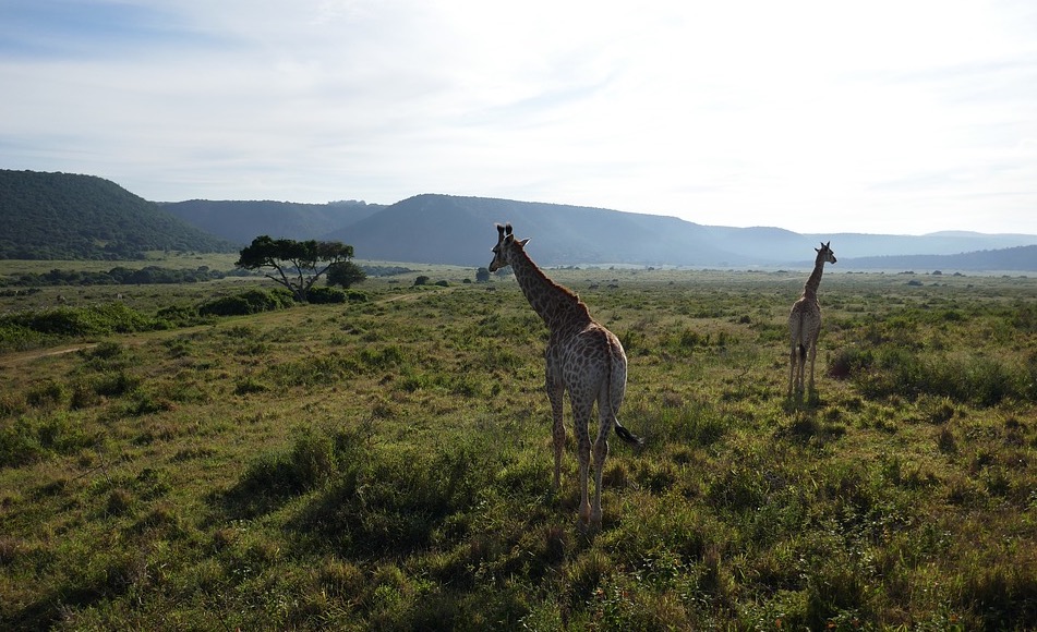 5 motivi per cui visitare il Sudafrica