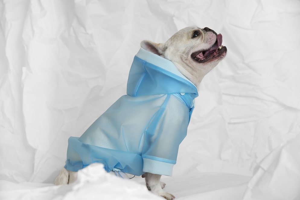 abbigliamento per cani impermeabile pioggia